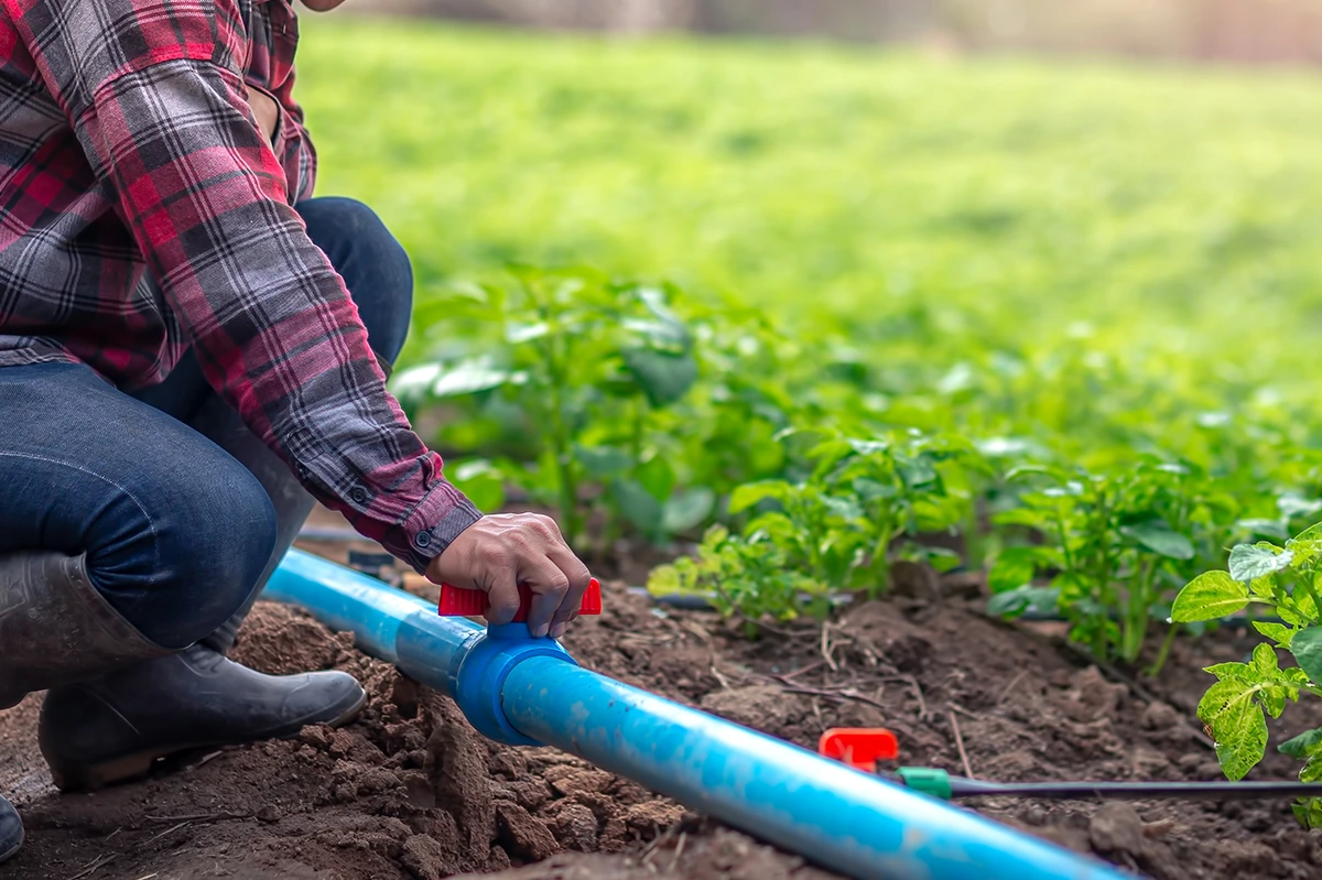Bombas de riego y sistemas de irrigación agrícola