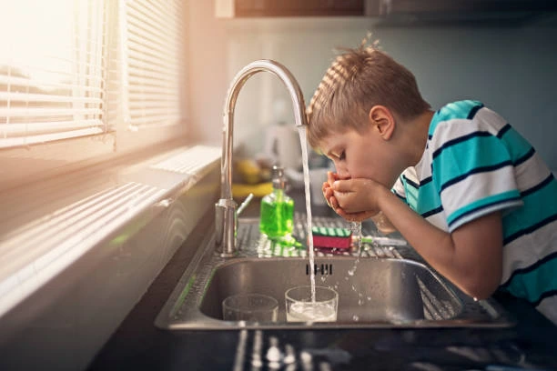 Filtros y purificadores de agua para el hogar
