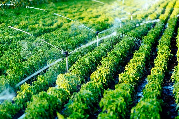 Instalaciones hidráulicas y sistemas de riego